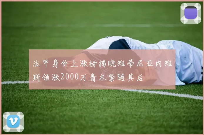 法甲身价上涨榜揭晓维蒂尼亚内维斯领涨2000万青木紧随其后