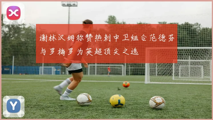 谢林汉姆称赞热刺中卫组合范德芬与罗梅罗为英超顶尖之选