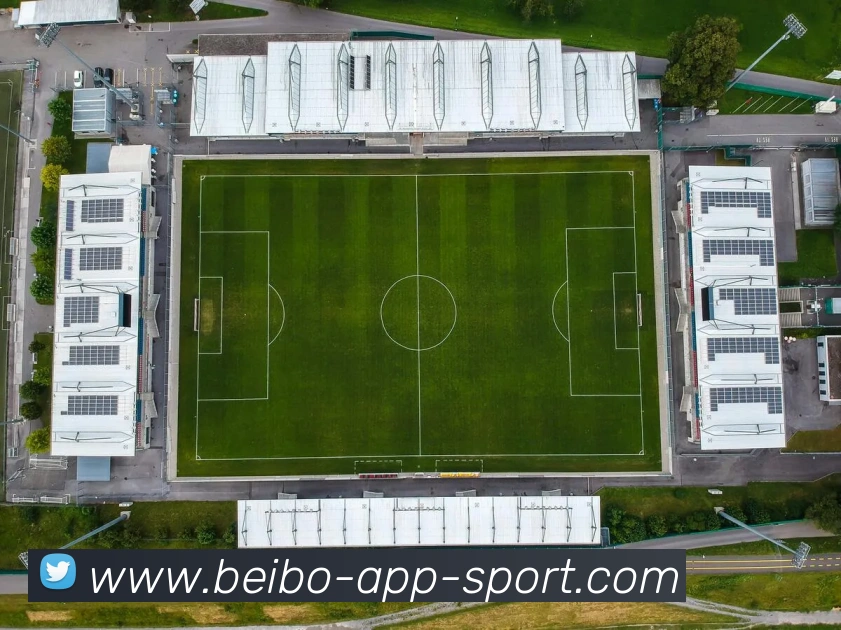 多媒体互动体验