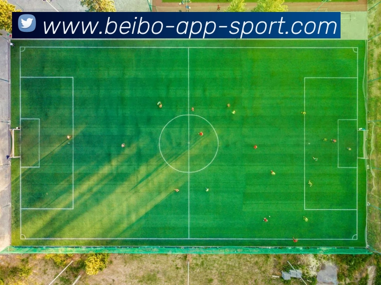 贝博体育APP 高清赛事图