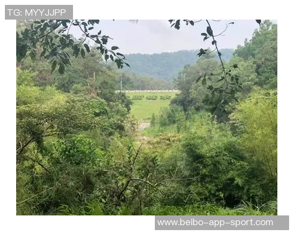 马绍尔谈尖刀绰号的喜悦每次得分都感到特别开心